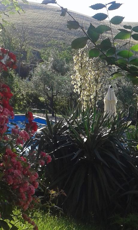Agriturismo La Solagna Villa Montebello di Bertona Buitenkant foto